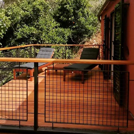 Duplex De Invitados En Medio Del Bosque * Firgas