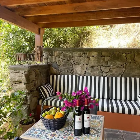 Duplex De Invitados En Medio Del Bosque Firgas