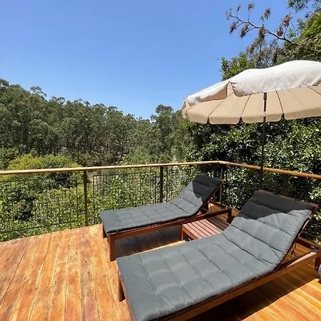 Duplex De Invitados En Medio Del Bosque Firgas