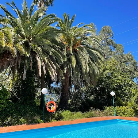 Duplex De Invitados En Medio Del Bosque * Firgas