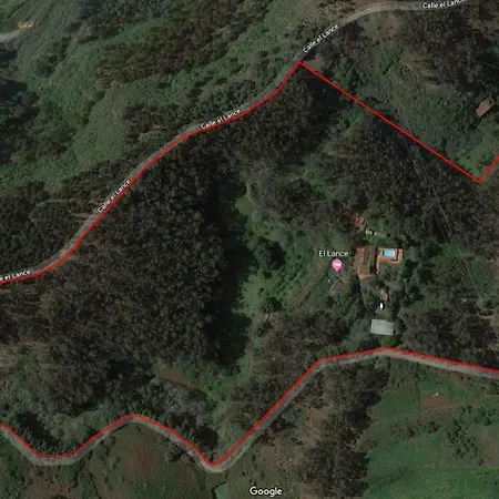 Duplex De Invitados En Medio Del Bosque Vakantiehuis