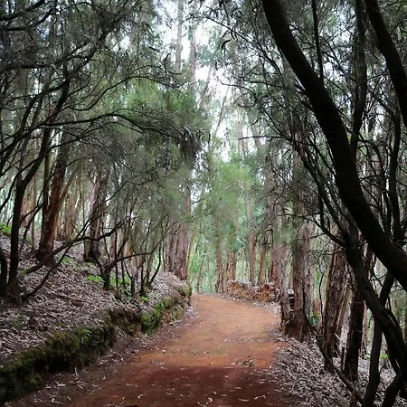 Vakantiehuis Duplex De Invitados En Medio Del Bosque Firgas