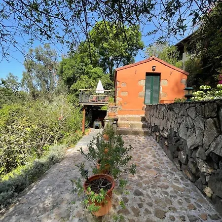Сasa de vacaciones De Invitados En Medio Del Bosque *