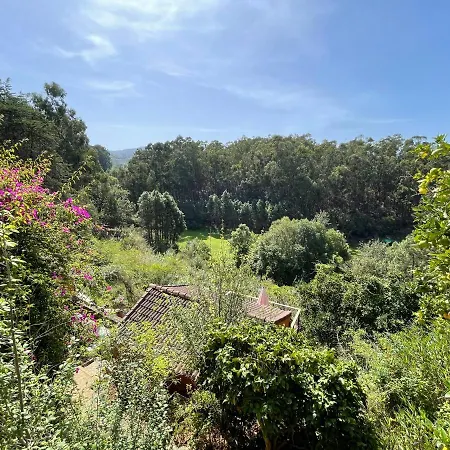 De Invitados En Medio Del Bosque Сasa de vacaciones *