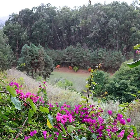 De Invitados En Medio Del Bosque Сasa de vacaciones Firgas