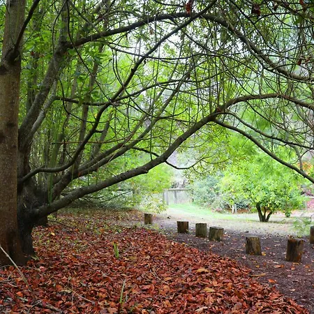 De Invitados En Medio Del Bosque Сasa de vacaciones *